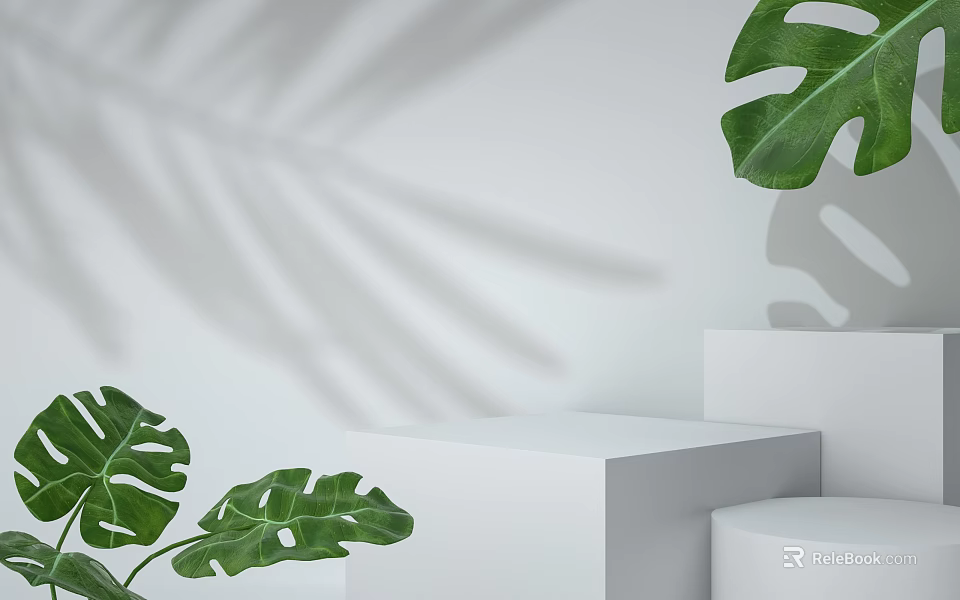 Green Monstera Leaves On White Display Stands With Shadow Effects For Modern Product Presentation 3d model 