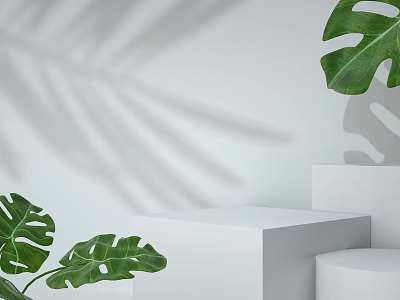 Green Monstera Leaves On White Display Stands With Shadow Effects For Modern Product Presentation 3d model