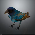 Vibrant Blue Bird with Brown Feathers Standing on Dark Background 3d model