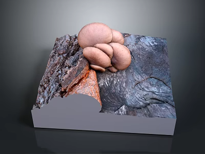 Light Pink Fresh Mushrooms with Rock Texture Placed on Gray Display Base 3d model