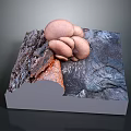 Light Pink Fresh Mushrooms with Rock Texture Placed on Gray Display Base