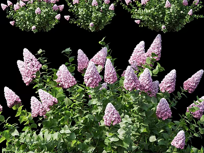 Decorative Ornament Set with Pink Lilac Flowers and Green Leaves for Home Decor 3d model