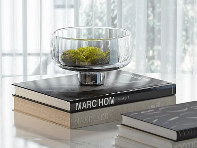 Stacked Books With Glass Bowl Containing Green Moss On Table Top 3d model