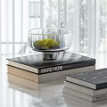 Stacked Books With Glass Bowl Containing Green Moss On Table Top