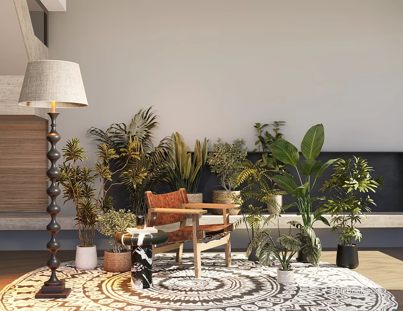 Bonsai Potted Plants Indoor Display With Various Green Plants Wooden Chair And Floor Lamp 3d model 