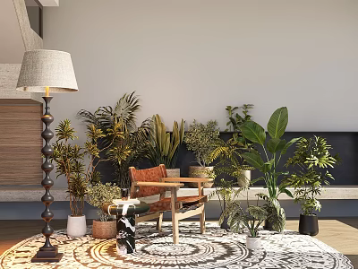 Bonsai Potted Plants Indoor Display With Various Green Plants Wooden Chair And Floor Lamp 3d model