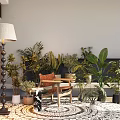 Bonsai Potted Plants Indoor Display With Various Green Plants Wooden Chair And Floor Lamp