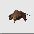 Brown Yak 3D Model with Long Fur Green Collar and White Hooves
