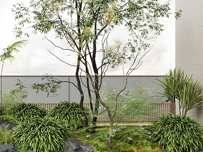 Lush Courtyard Garden With Tall Trees Green Plants Bushes Rocks And Wooden Fence 3d model