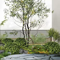 Lush Courtyard Garden With Tall Trees Green Plants Bushes Rocks And Wooden Fence