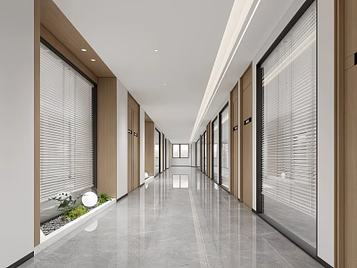 Modern Office Corridor with Polished Floor Glass Doors with Blinds Wooden Frames and Plants 3d model