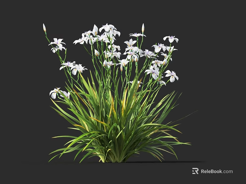 Beautiful White Flowers With Long Green Leaves Fresh Blooming On Dark Background 3d model 