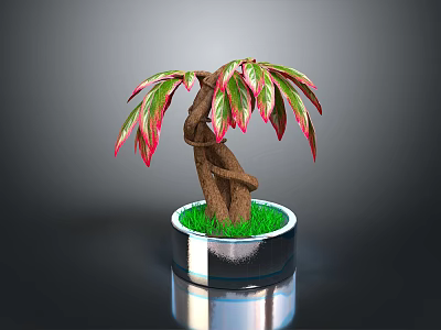 Decorative Indoor Plant With Red Green Leaves Twisted Trunk In Silver Pot With Green Grass 3d model