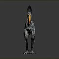 Prehistoric Bird Like Dinosaur With Large Orange Beak And Feathered Wings Standing On Dark Background