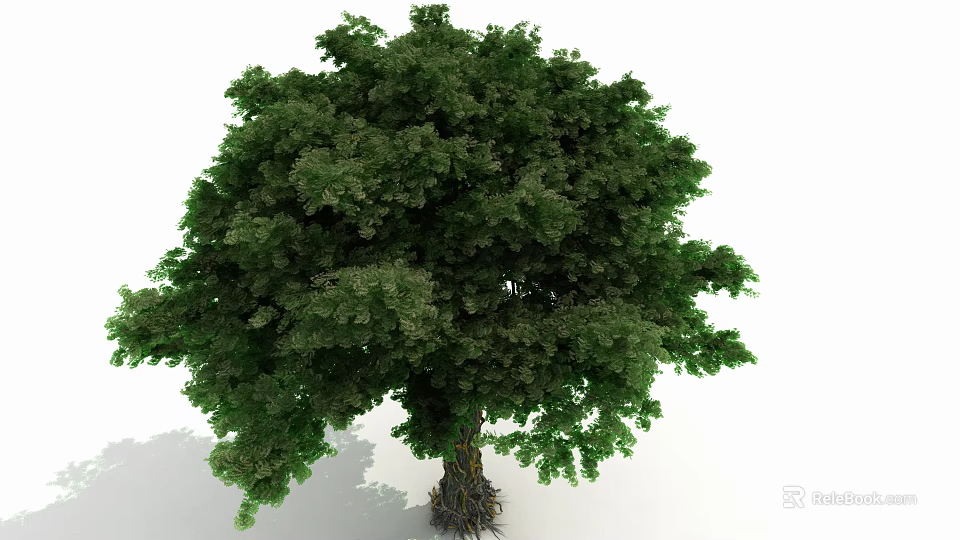 Lush Green Arbor Tree With Thick Trunk And Healthy Root System 3d model 