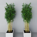 Green Bonsai Potted Bamboo Plants in White Square Pots with Gray Wall Background