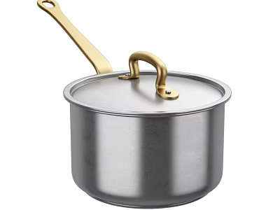 Stainless Steel Cooking Pot With Golden Handle And Secure Fitting Lid Modern Design 3d model