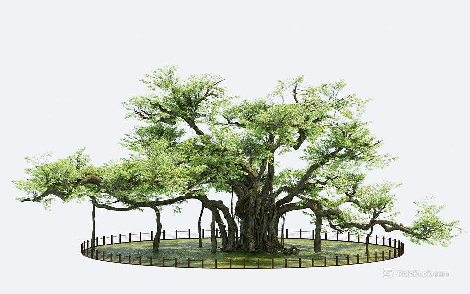 Large Arbor With Lush Green Foliage Thick Trunk And Surrounding Wooden Fence 3d model 