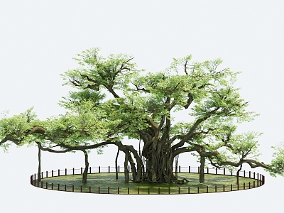 thousand-year-old tree big banyan tree square tree giant tree hundred-year-old tree 3d model