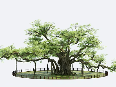 Large Arbor With Lush Green Foliage Thick Trunk And Surrounding Wooden Fence 3d model
