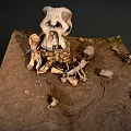 Scattered Ancient Skeleton Remains With Limb Bones And Skull On Earth Mound