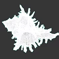 Natural Conch Shell Displaying Brown White Stripes Intricate Texture And Spiky Structure On Dark Background