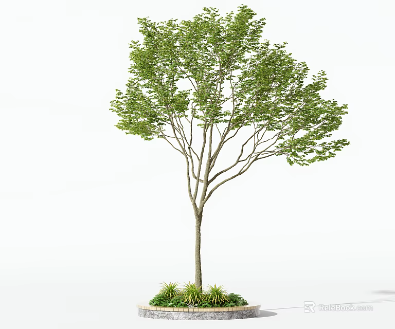Ornamental Arbor Featuring Lush Green Foliage Slender Trunk and Small Plants at Circular Base 3d model 