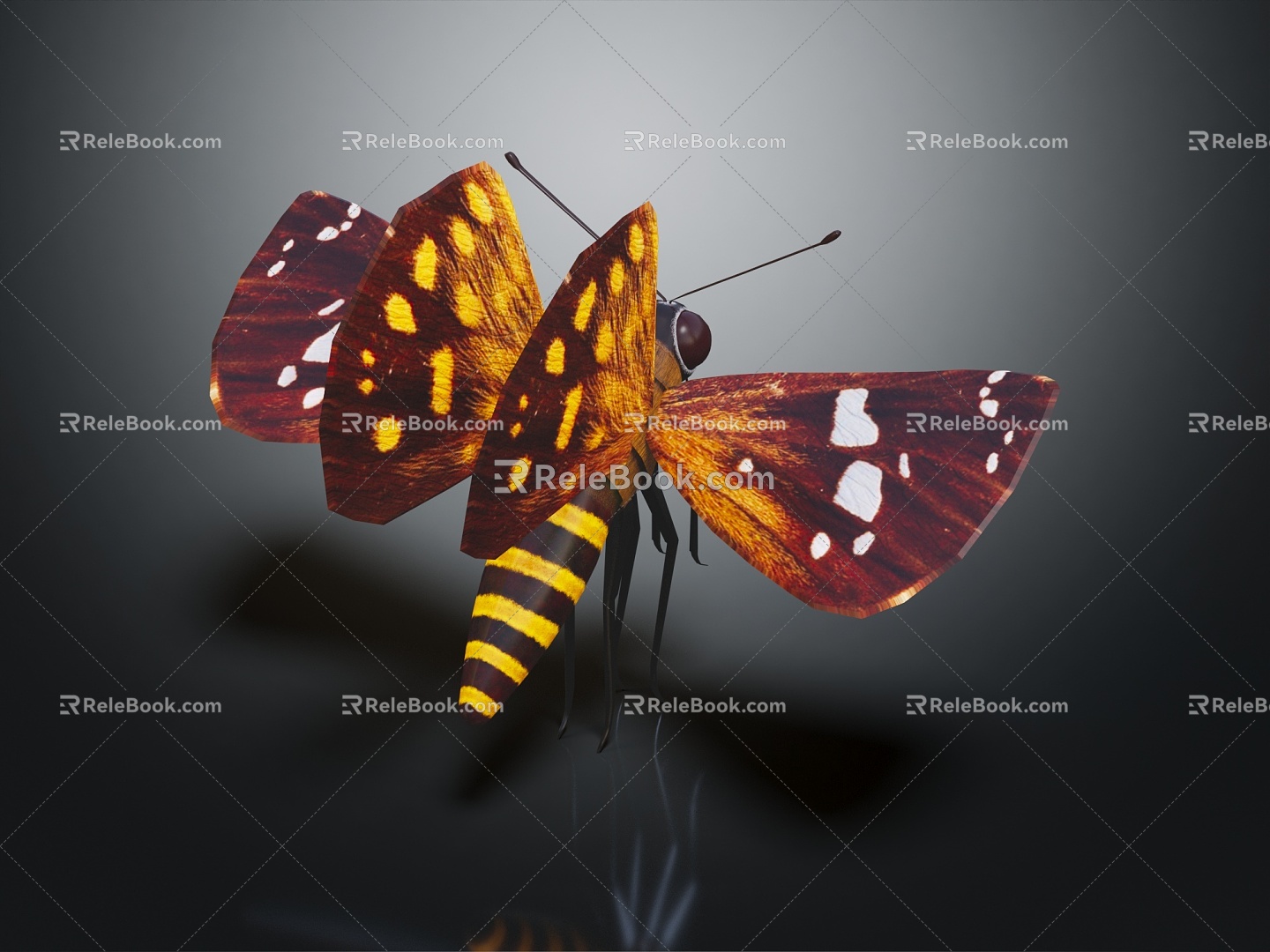 Modern butterfly moth insect 3d model