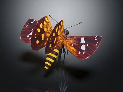 Modern butterfly moth insect 3d model