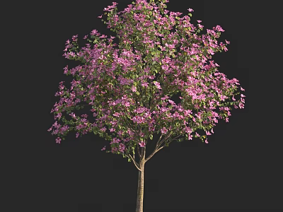 Vibrant Arbor With Pink Flowers Green Leaves And Brown Trunk Isolated 3d model