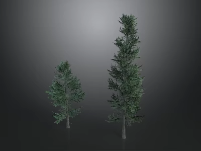 Two Pine Trees One Tall And One Short On Gray Background 3d model