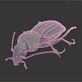 Vibrant Green Metallic Beetle With Striped Carapace On Dark Background Detailed Closeup