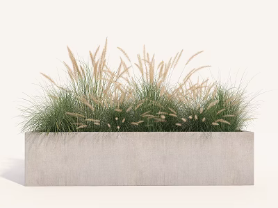 Modern Roadside Landscaping Facilities with Concrete Planter and Green Ornamental Grasses 3d model