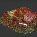 Natural Moss Covered Stone Surrounded by Green Plants and Ruler