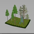 Realistic Forest Model Display With Various Evergreen Trees And Green Grass