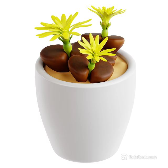 Yellow Flowering Succulent Plants in White Ceramic Pot with Brown Pebble Substrate 3d model 
