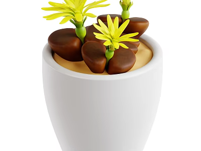 Yellow Flowering Succulent Plants in White Ceramic Pot with Brown Pebble Substrate 3d model