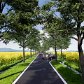 Scenic Road Facilities with Trees on Both Sides Yellow Flower Fields and Distant Mountains