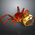 Red Spider With Long Legs Near Brown And White Round Object On Dark Surface