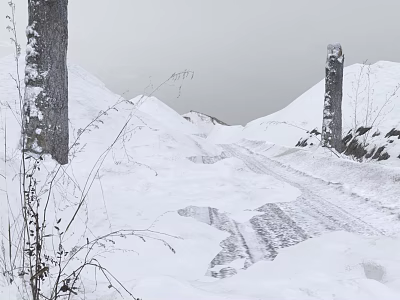 Snowy Winter Landscape With Snow Covered Road Stone Pillars Tire Tracks And Dry Grass 3d model