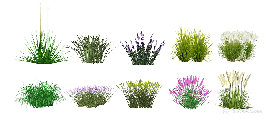Various Types of Decorative Shrubs with Green and Purple Foliage for Garden Landscaping 3d model 