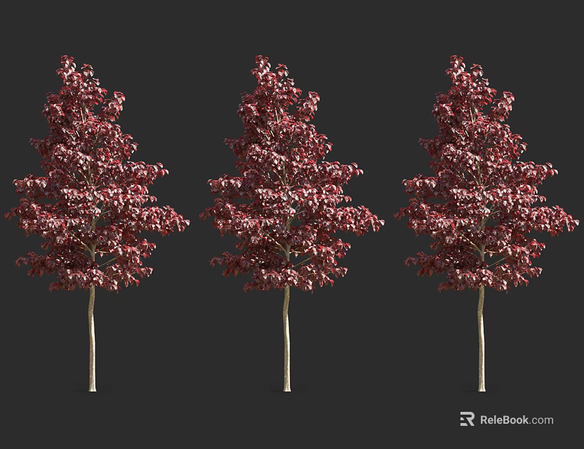 Three Red Leaf Arbor Trees With Vibrant Foliage On Dark Background 3d model