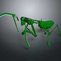 Green 3D Mechanical Mantis Robot Model With Sharp Claws And Detailed Structure