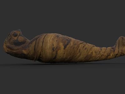 Ancient Mummy Artifact With Wrapped Bandages And Historical Preservation Details 3d model