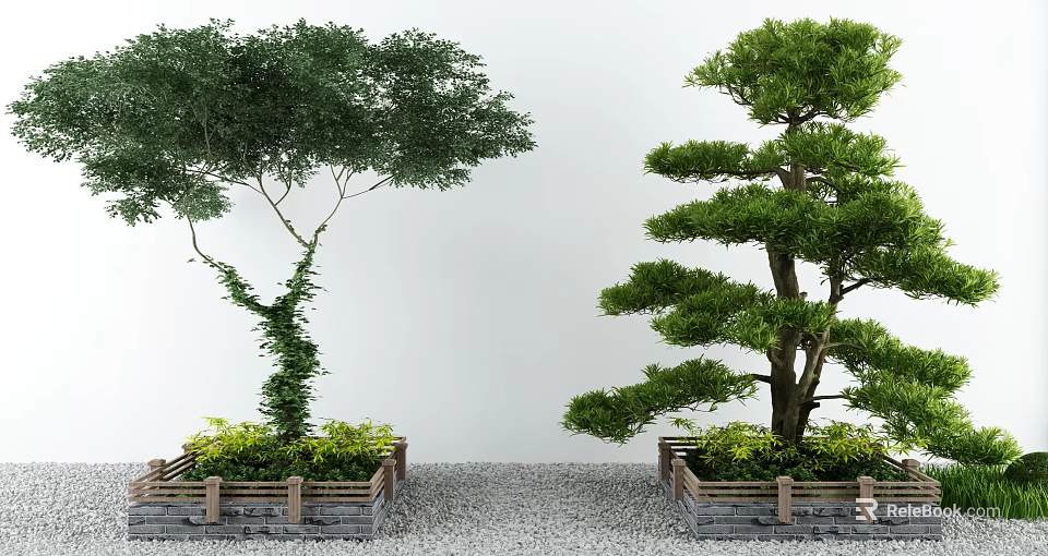 Green Vine Covered Tree And Shaped Pine Tree In Wooden Planters With Gravel Path 3d model 