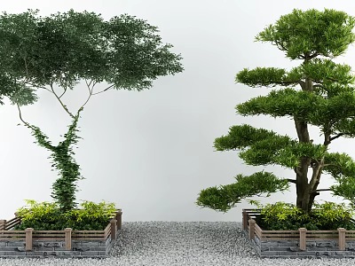 Green Vine Covered Tree And Shaped Pine Tree In Wooden Planters With Gravel Path 3d model