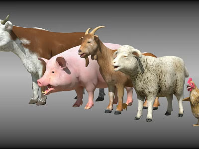 Various Reptiles Including Lizards Snakes And Turtles In Natural Habitat 3d model