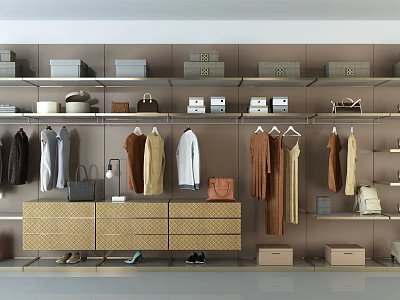 Modern Wardrobe Organization with Hanging Clothes Bags Boxes Drawer Cabinet and Shoes 3d model