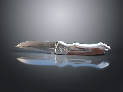 Folding Knife With Silver Blade And Brown Silver Handle On Black Smooth Surface With Reflection 3d model