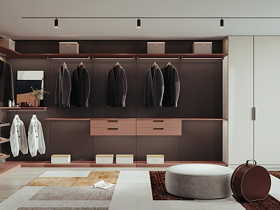 Contemporary Walk in Closet Interior With Hanging Rails Drawer Cabinets Storage Boxes And Ceiling Spotlights 3d model